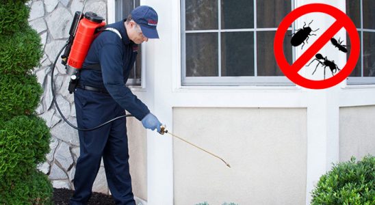 Sarıkamış Hamam Böceği İlaçlama böcek ilaçlama ve haşere kontrolü — ilaclama-tr.com